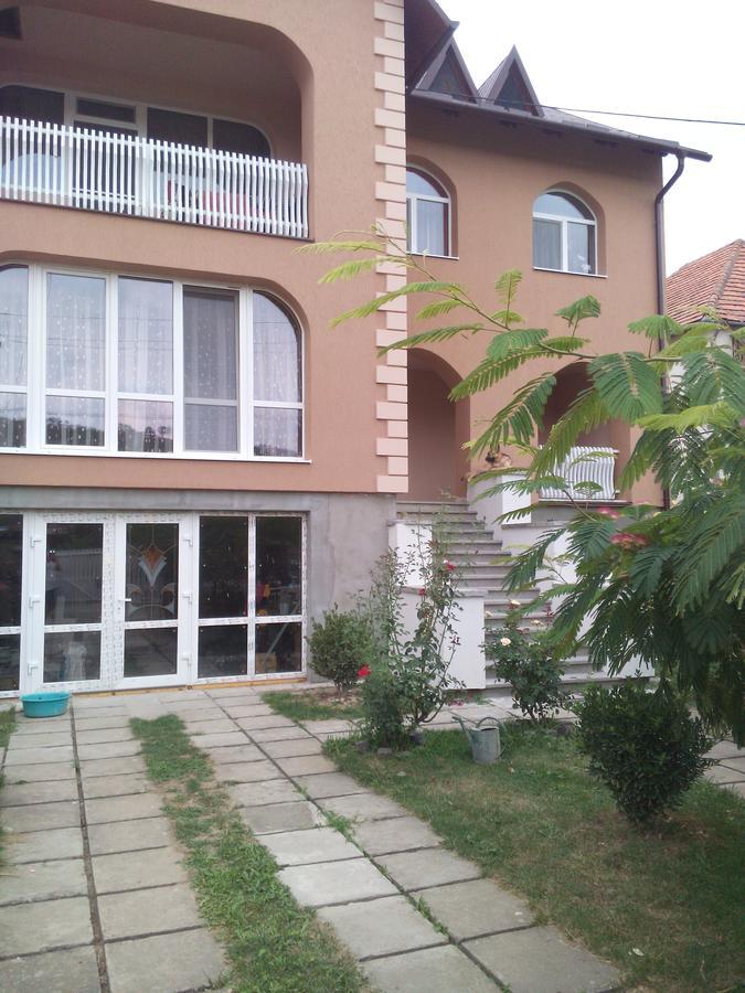 Private House Apartment Берегово Екстериор снимка
