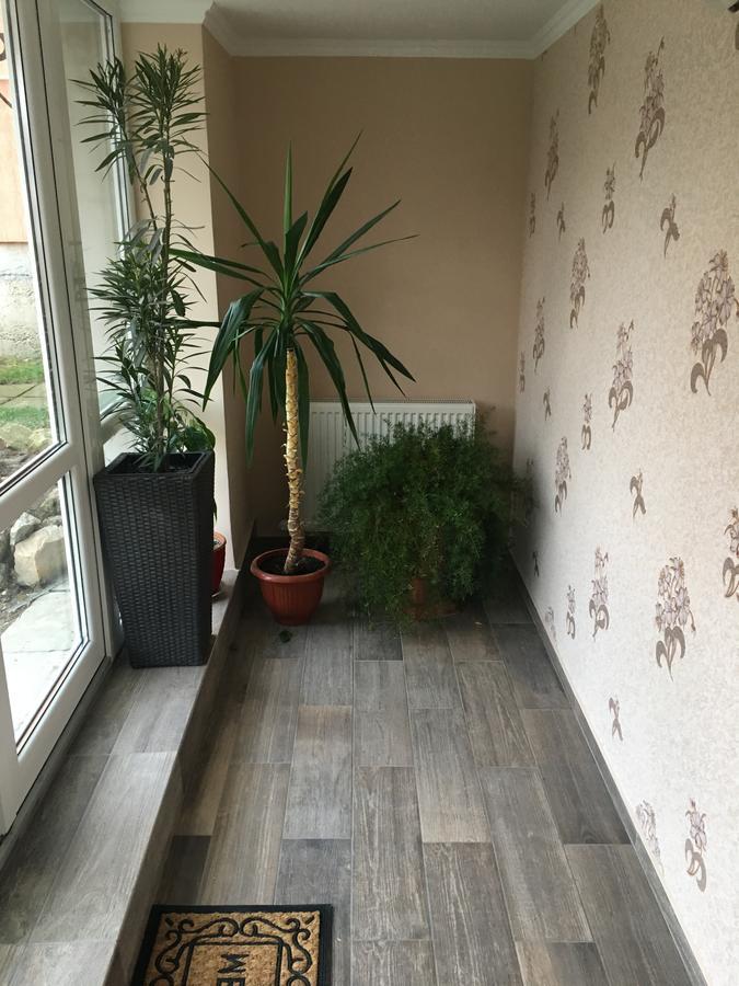 Private House Apartment Берегово Екстериор снимка