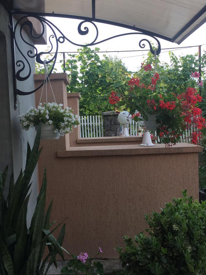 Private House Apartment Берегово Екстериор снимка