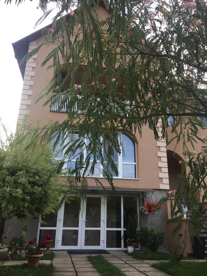 Private House Apartment Берегово Екстериор снимка