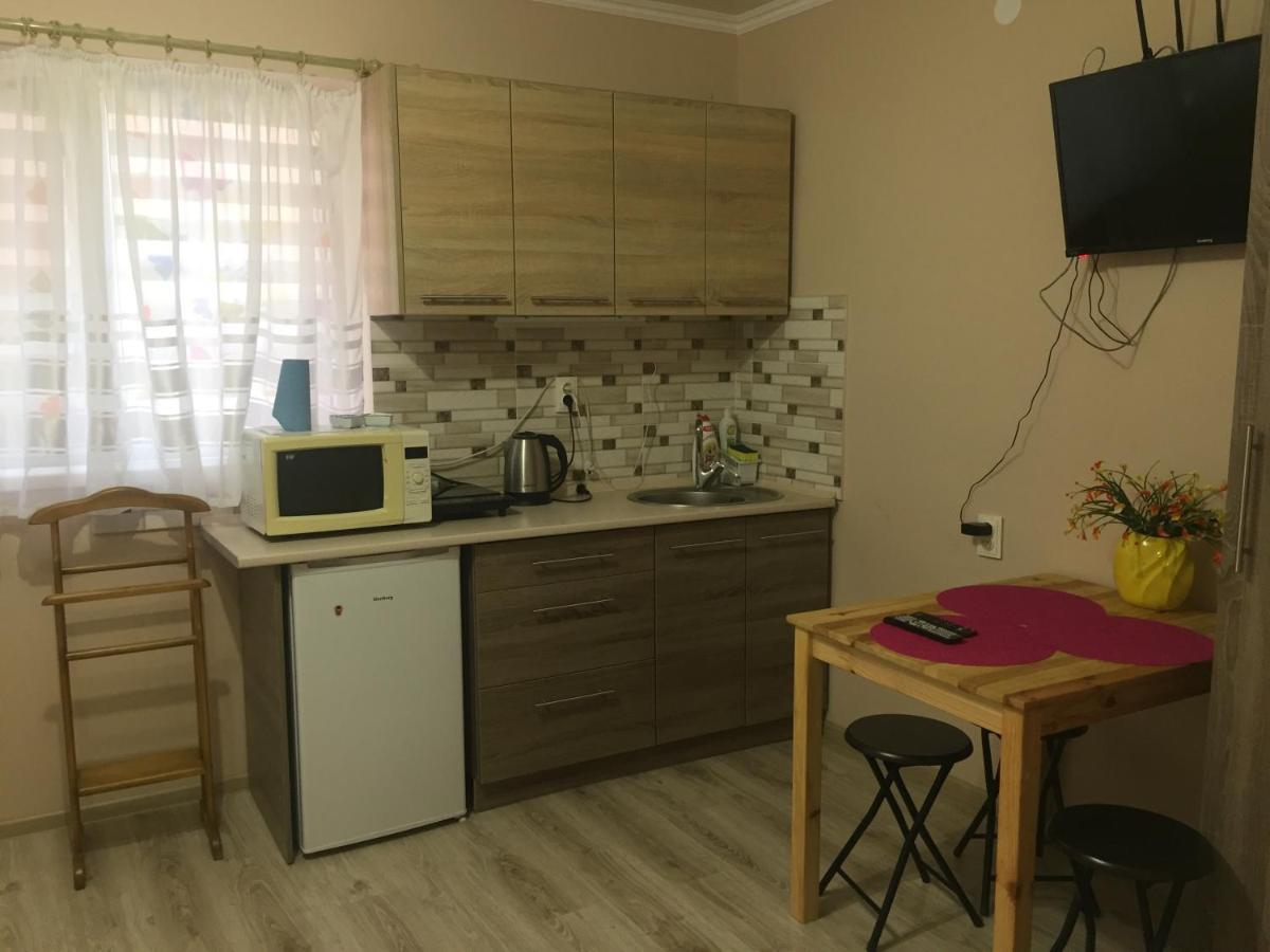 Private House Apartment Берегово Екстериор снимка