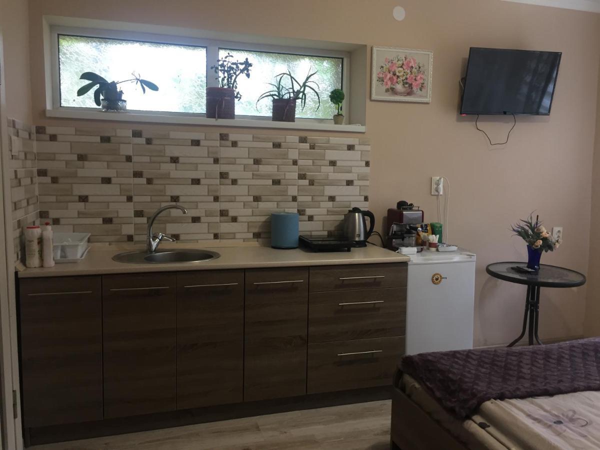 Private House Apartment Берегово Екстериор снимка